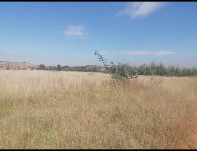 LAND FOR SALE IN WALKERVILLE CENTRAL
